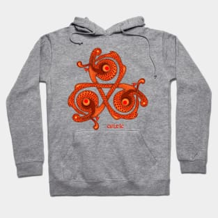 Ancient Breton triskelion Hoodie